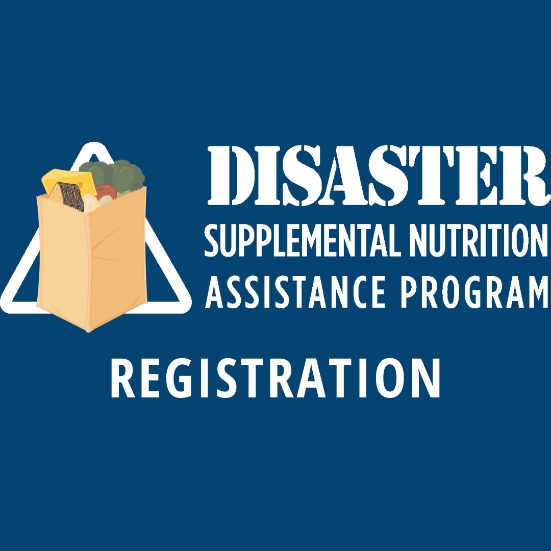 Disaster Supplemental Nutrition Assistance Program (DSNAP) Louisiana