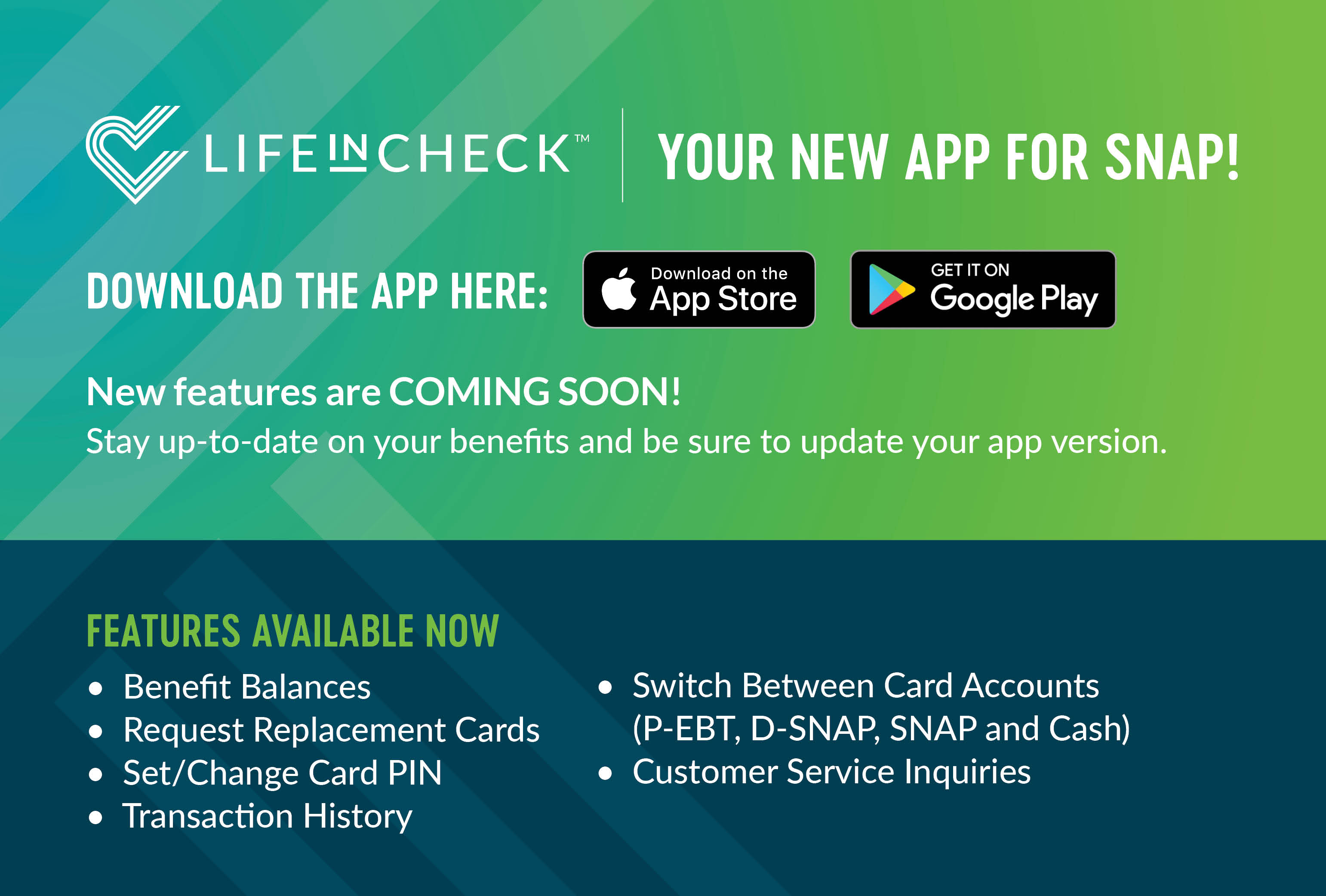 LifeInCheck Promo Image