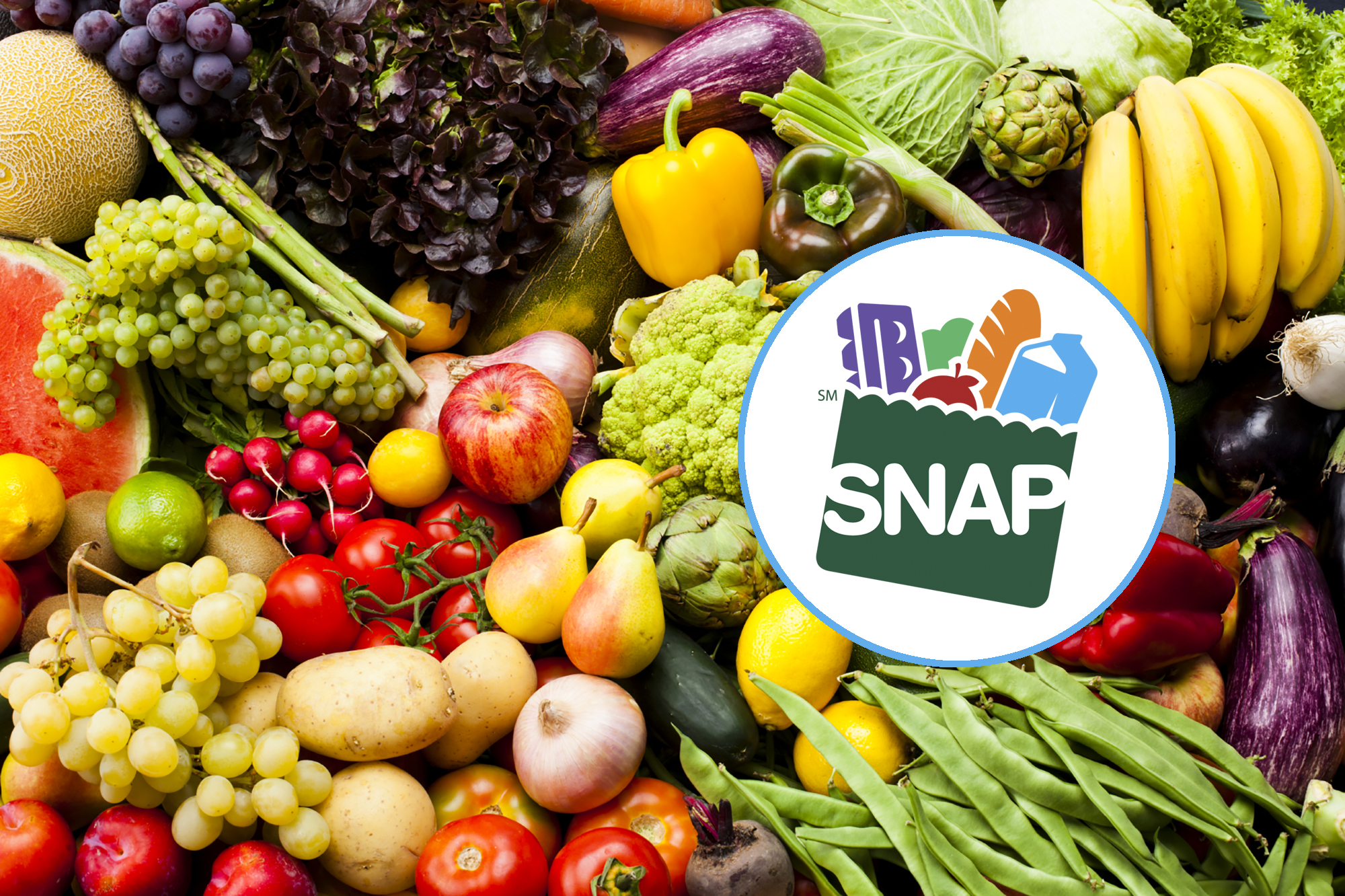 Learn How to Apply Food Stamps Program Online